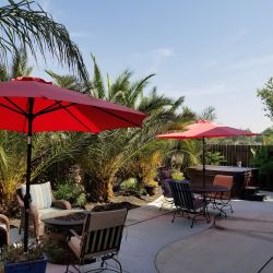 patio2.jpg